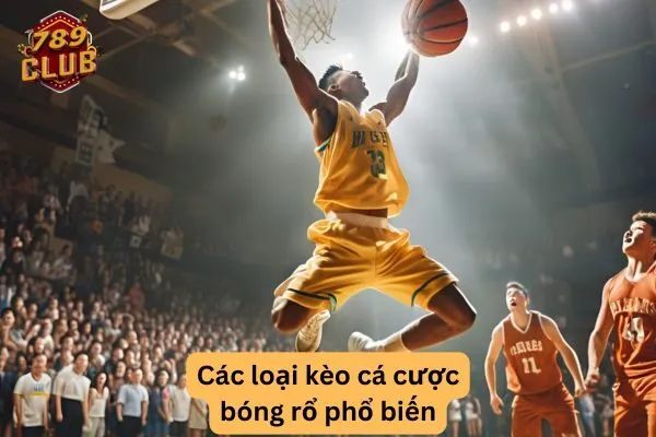 Kèo cá cược bóng rổ